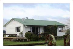 Vineyard For Sale - New Zealand Vineyard and Home For Sale - Gimblett Gravels - New Zealand Wine Country