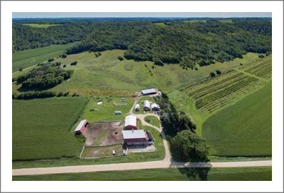 Minnesota Winery, Vineyard and Hobby Farm For Sale - Flower Valley - Hobby Farm w/ Craftsman Style Farmhouse For Sale