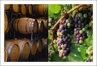 Temecula Valley Winery Shares For Sale - Temecula Valley Winery & Vineyard For Sale