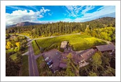 Vancouver Island Winery, Vineyard and Home For Sale - British Columbia Wine Country