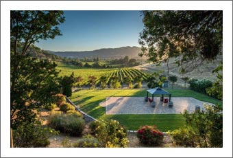 Winery For sale - Northern California Winery, Vineyard & Luxury Home For Sale - Solano County Real Estate