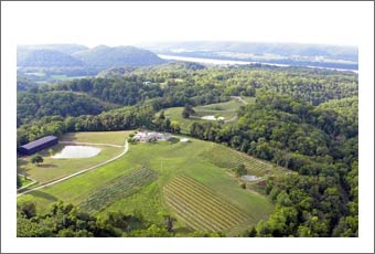 Winery For Sale - Kentucky Winery, Vineyard and Home For Sale - Kentucky Wine Real Estate