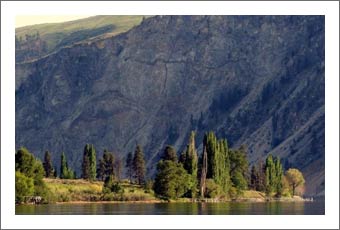 Washington State Vineyard For Sale - Boutique Vineyard - Ribbon Cliff Vineyards - Columbia Valley AVA