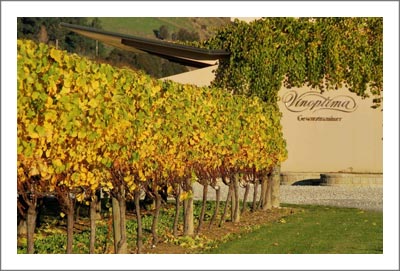 New Zealand Winery & Vineyard For Sale - Vinoptima Estate For Sale - Receivership / Tender Sale