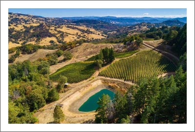Mendoino County Vineyard For Sale - Eagle Peak AVA