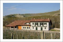 Italian Winery For Sale - Vineyard & Villa - Italy Wine Country Real Estate