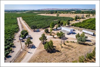 Apple Orchard For Sale - California Apple Orchad For Sale - Organic