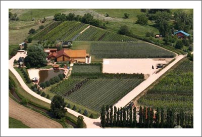 Colorado Winery For Sale - LLC Partnership