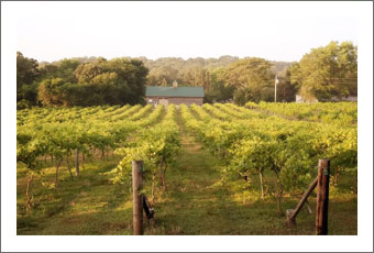 Missouri Winery, Vineyard and Tasting Room For Sale - Wine Business For Sale