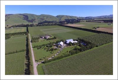 New Zealand Winery & Vineyard Farm For Sale - Julicher Estate - Martinborough Wine