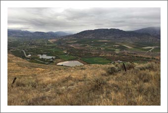 Okanagan Valley Land For Sale - 200 Acres - Winery and Vineyard Potential Real Estate