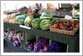 Templeton Organic Farm and Bed and Breakfast For Sale - Paso Robles Wine Country