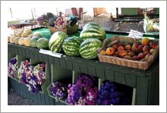 Templeton Organic Farm and Bed and Breakfast For Sale - Paso Robles Wine Country