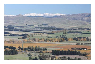 New Zealand Winery & Vineyard For Sale - Vinoptima Estate For Sale - Receivership / Tender Sale
