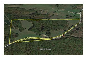 Missouri Vineyard For Sale - Unique Hobby Farm Property With Homes And Outbuildings Near Lake Of The Ozarks - Real Estate