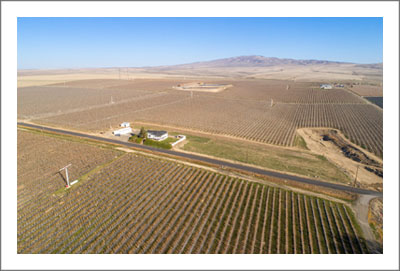 Washington Vineyard and Apple Orchard For Sale - Wine Country Real Estate