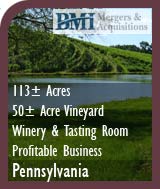 Vineyards For Sale In Northern Virginia