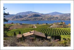 Okanagan Falls, BC - Home and Vineyard For Sale - Wine Real Estate