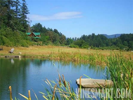 Pender Island, BC, Canada - Custom Handcrafted Home and Land W/ Vineyard Potential For Sale - Wine Real Estate