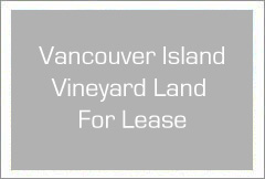 Vancouver Island,  BC - Vineyard and Estate Home with Winery Potential For Sale - Wine Real Estate