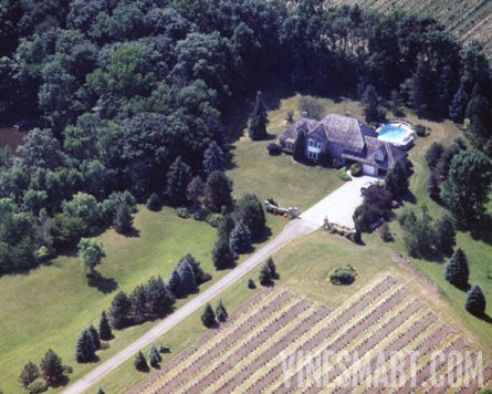 Niagara Wine Region - Vineyard and Home For Sale - Home and Vineyard