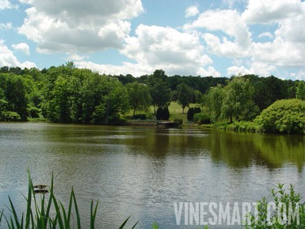 Niagara Wine Region - Vineyard and Home For Sale - Large Pond