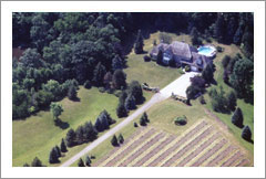 Niagara Vineyard and Home For Sale