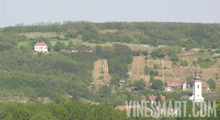 Hungary Vineyard Land & Home For Sale - Hillside View of Homes