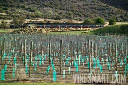 Gibbston Valley, Central Otago, New Zealand  - Vineyard and Home For Sale - Wine Real Estate
