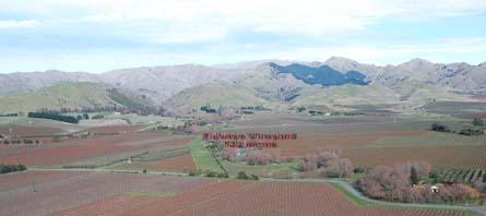 vineyards marlborough for sale
