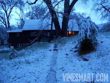 El Dorado County - Winery and Vineyard For Sale - Home View with Snow