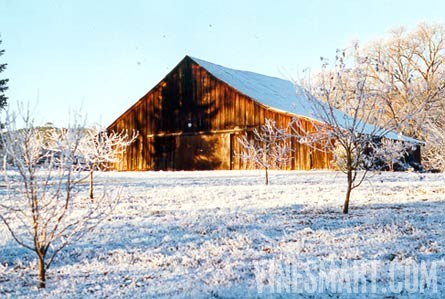 El Dorado County - Winery and Vineyard For Sale - Barn View Frosted