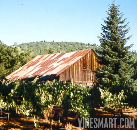 El Dorado County - Winery and Vineyard For Sale - Vineyard with Barn in Background