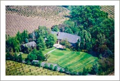 Custom Chateau Style Home and Vineyard For Sale - Acampo - Wine Real Estate