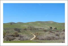 San Miguel, CA - Olive Orchard and Home For Sale