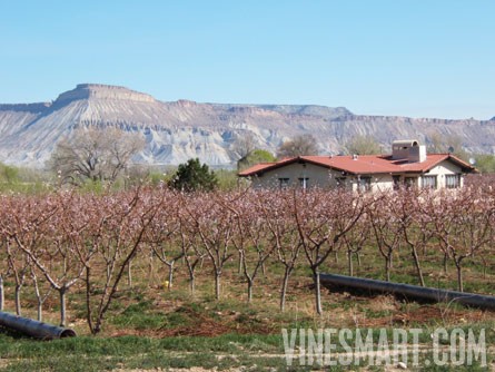 VineSmart - Palisade, Colorado - Vineyard, Orchard and Home For Sale - Development Potential - Wine Real Estate