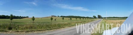 Illinois Vineyard/Winery Land For Sale - From Road