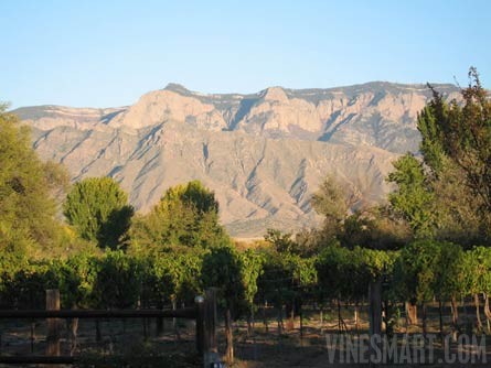 Corrales, NM - Vineyard and Home - Looking East