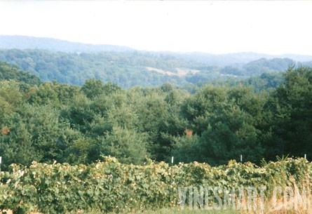 Loudonville Ohio Ohio Winery And Vineyard For Sale Great Business Opportunity Wine Real Estate Vinesmart Com