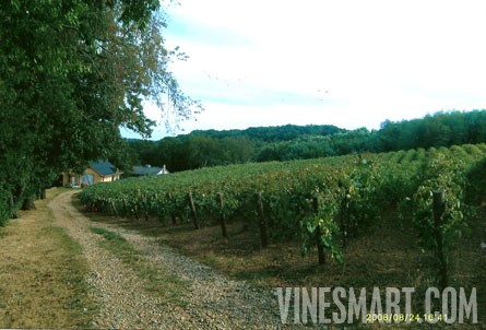 Loudonville Ohio Ohio Winery And Vineyard For Sale Great Business Opportunity Wine Real Estate Vinesmart Com