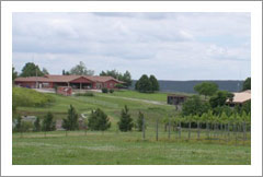 Stone Bluff Cellars Winery & Vineyard Property For Sale - Stone Bluff, Oklahoma