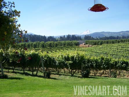 Hood River, Oregon - Beautiful Home and Vineyard With Mt. Hood Views For Sale - Wine Real Estate