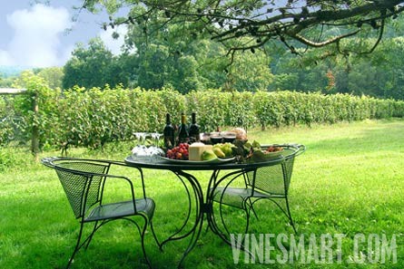 Pennsylvania - Winery, Vineyard, and Bed and Breakfast for Sale - Table and Vineyard