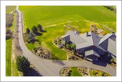 Oregon Vineyard Estate For Sale - Wine Country Real Estate - Pinot Noir Vineyard