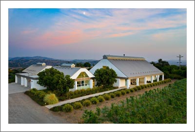 Southern California Winery For Sale - Winery, Vineyard and Ulta Contemporary Home For Sale in San Diego County