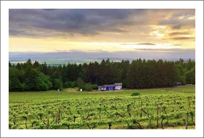 Oregon Winery For Sale - Organic Winery w/ Boutique Vineyard & Home For Sale