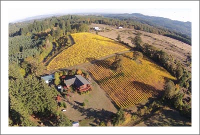 Oregon Vineyard For Sale w/ Custom Home -  Lonesome Rock Ranch - Oregon Wine Country Real Estate