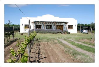 Argentina Vineyard For Sale - Home with Pool - Malbec Vineyard - Estate