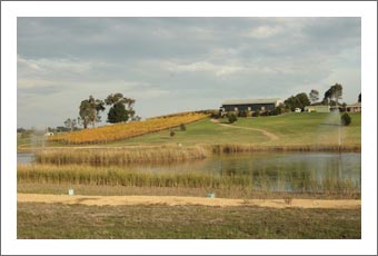 Australia Winery & Vineyard For Sale - Restaurant & Event Center - Australia Wine Country Real Estate
