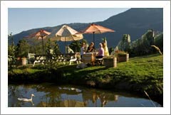 Salt Spring Island Vineyard, Winery, and Bed and Breakfast For Sale - British Columbia, Canada
